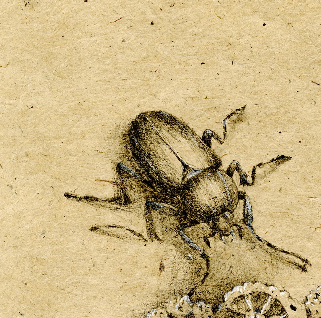 Graphit und Gouache auf handgeschöpftem Papier: „The Remains: 10“ (Beige), Animal Art, von Winifred McNeill