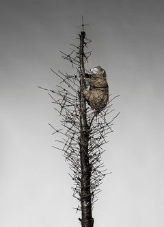 Tall Tree sculpture with wire & creature: 'O' Tannenbaum'