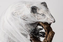 Small Sculpture of a possum: 'Possum Kingdom'