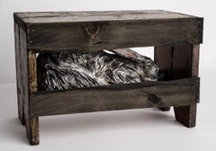 Rabbit in step stool sculpture: 'A Night Without Stars'