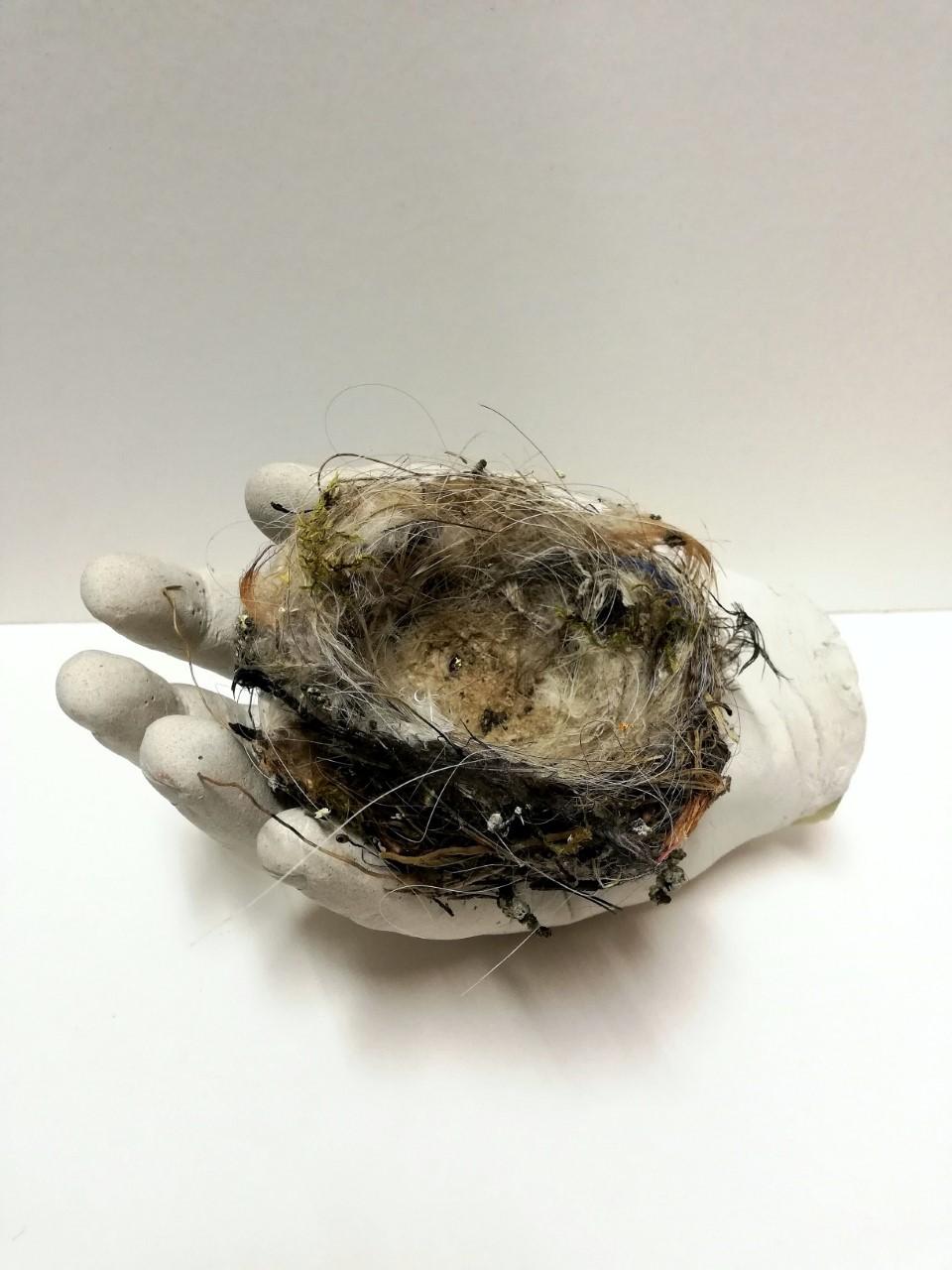 Sculpture of hand with nest: 'The Waiting'