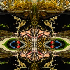 'Lux Nan Ji' Pittura digitale, stampa Lambda montata su Alu Dibond