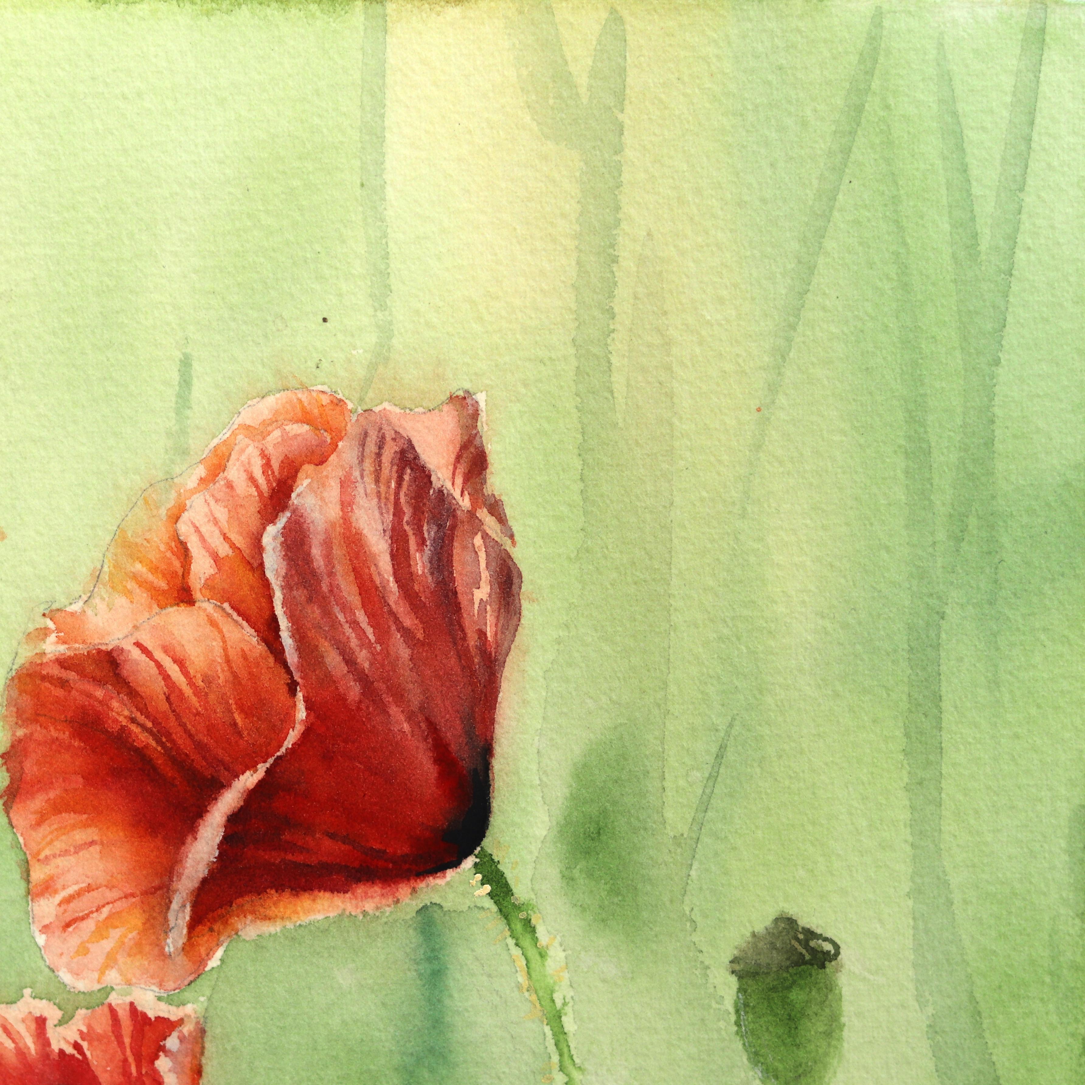 Papaveri con sfondo verde  -  Pittura floreale vibrante ad acquerello su carta - Art Contemporaneo di Anna Kudriashova