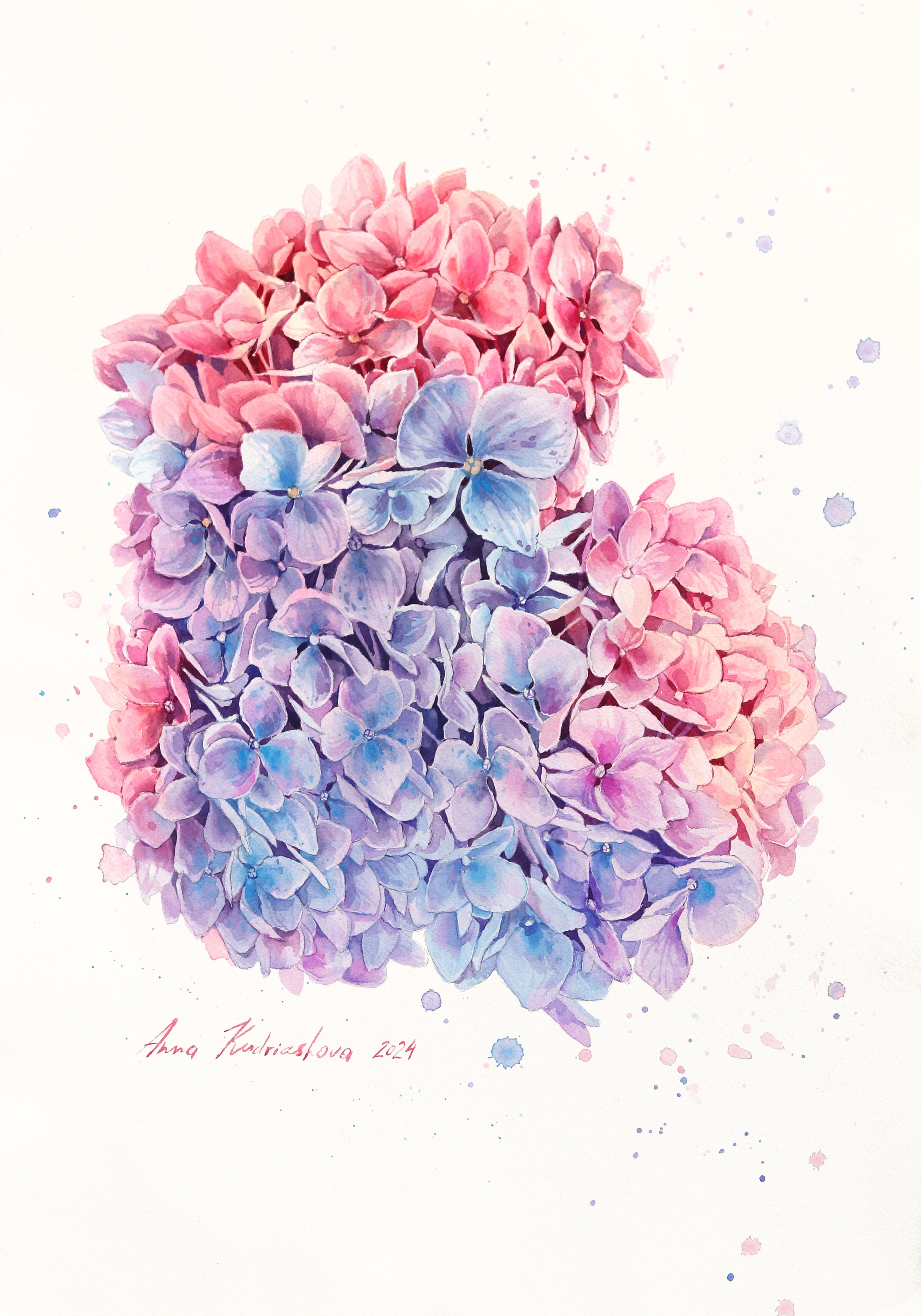 Landscape Art di Anna Kudriashova - Ortensie a nuvola rosa  -  Pittura floreale ad acquerello su carta