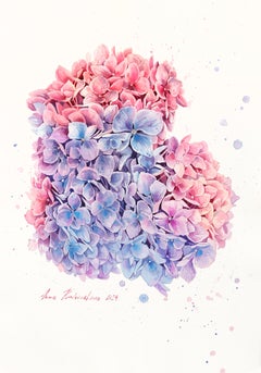 Pink Cloud Hydrangeas  -  Floral Pastel Watercolor Painting on Paper