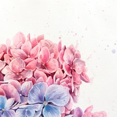 Rosa Wolken Hydrangeas - Floral-Pastell-Aquarellgemälde auf Papier