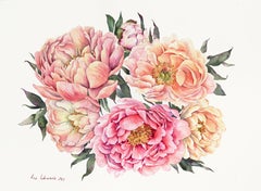 Peonie - Acquerello floreale su carta