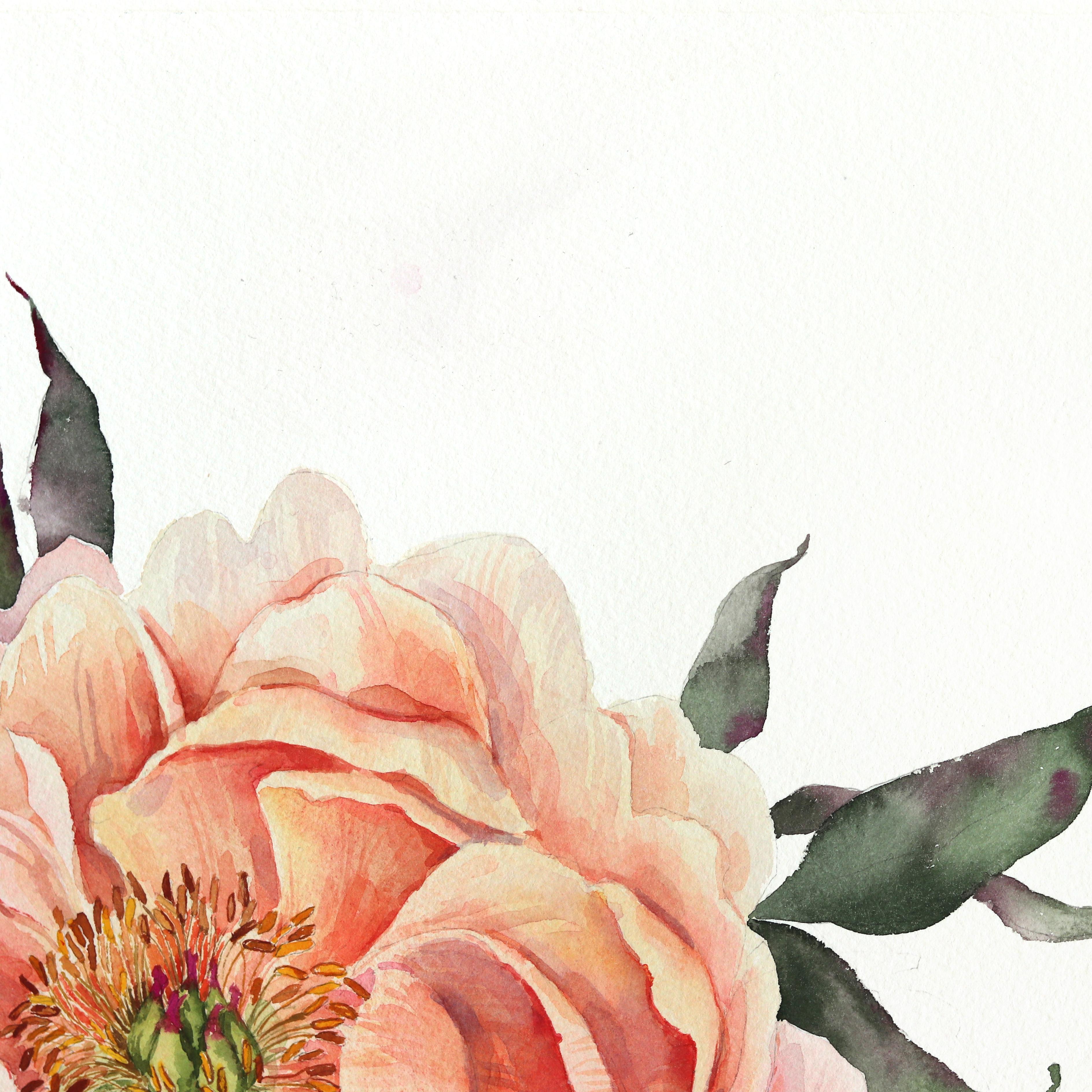 Peonie - Acquerello floreale su carta - Painting di Anna Kudriashova