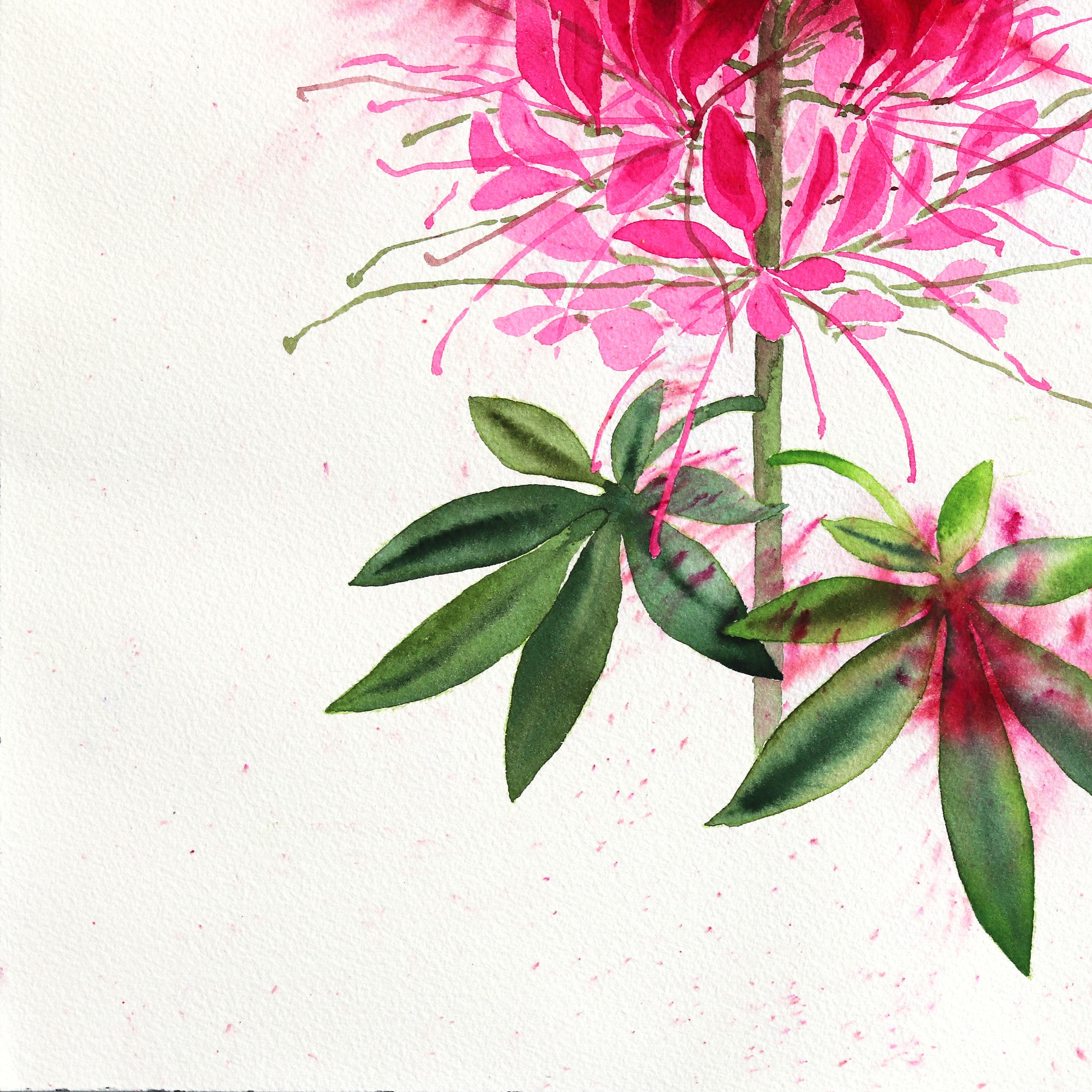 Fiore di ragno - Drammatico dipinto astratto di natura morta floreale rosa botanico - Still-Life Bianco di Xiao Wen Xu