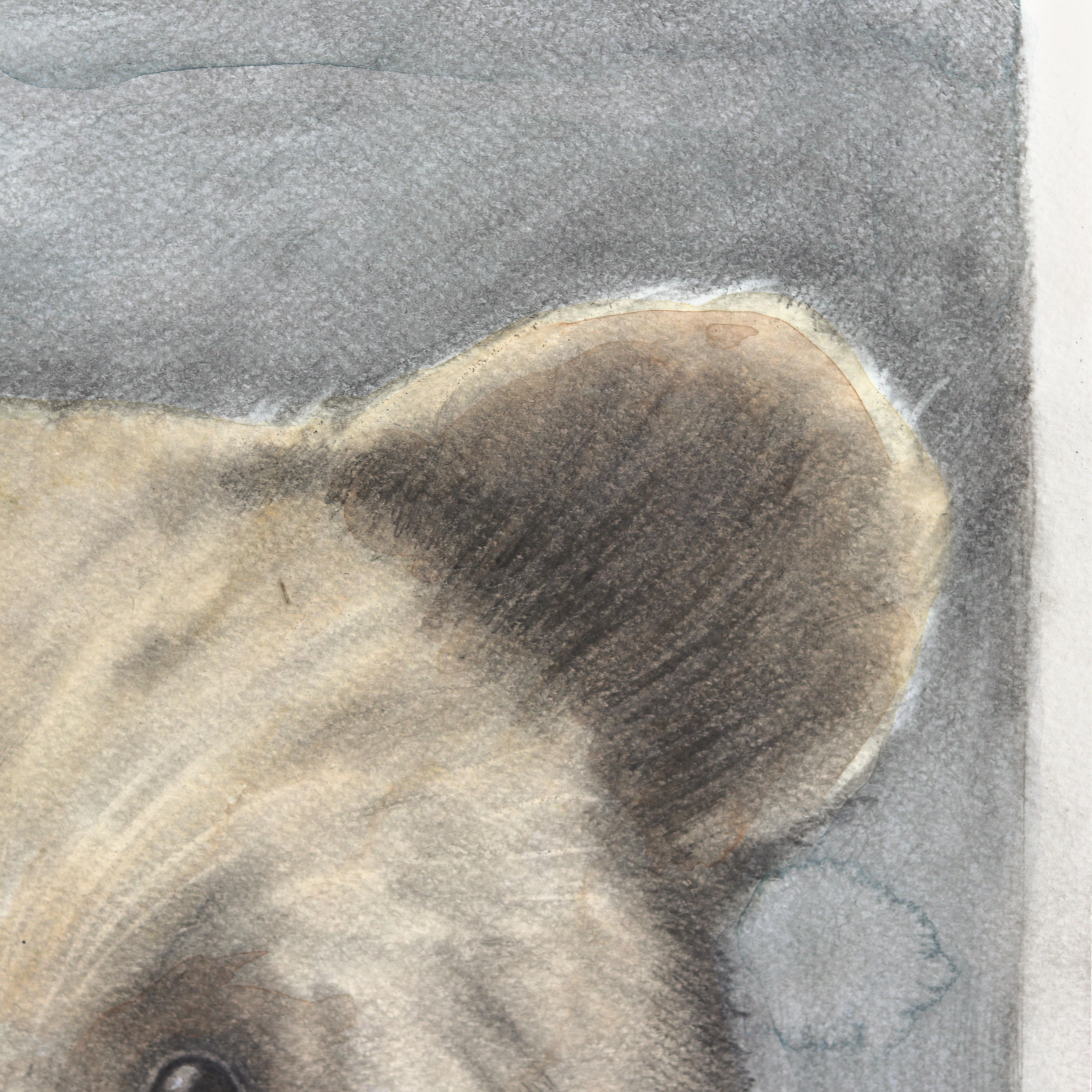 Wenn sie genau hinschauen, werden sie finden - Figuratives Aquarellkunstwerk (Moderne), Art, von Amanda Immurs