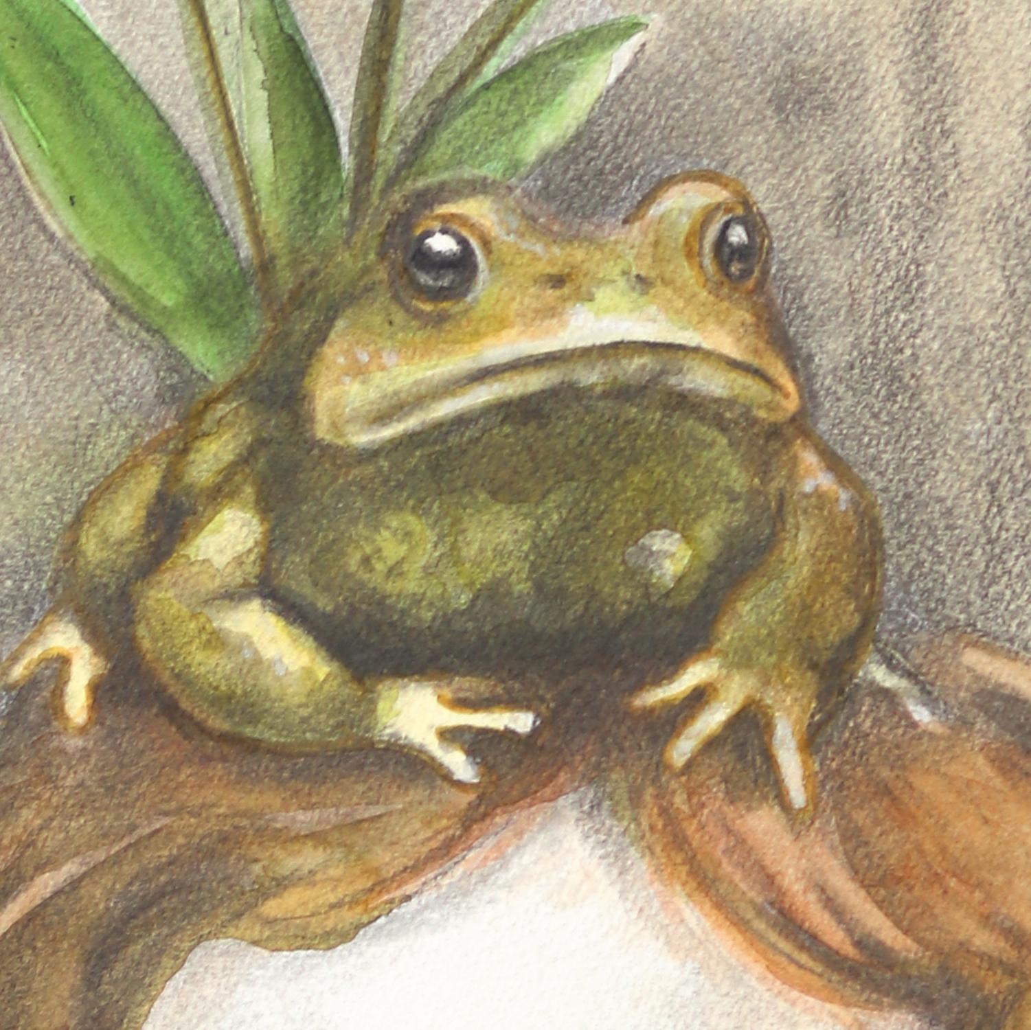 Amanda Immurs, une artiste originaire de Hamilton, au Canada, crée des aquarelles enchanteresses qui donnent vie à des scènes fantaisistes d'enfants, d'animaux et de flore. L'art d'Immurs est fondé sur la représentation, dépeignant des espaces