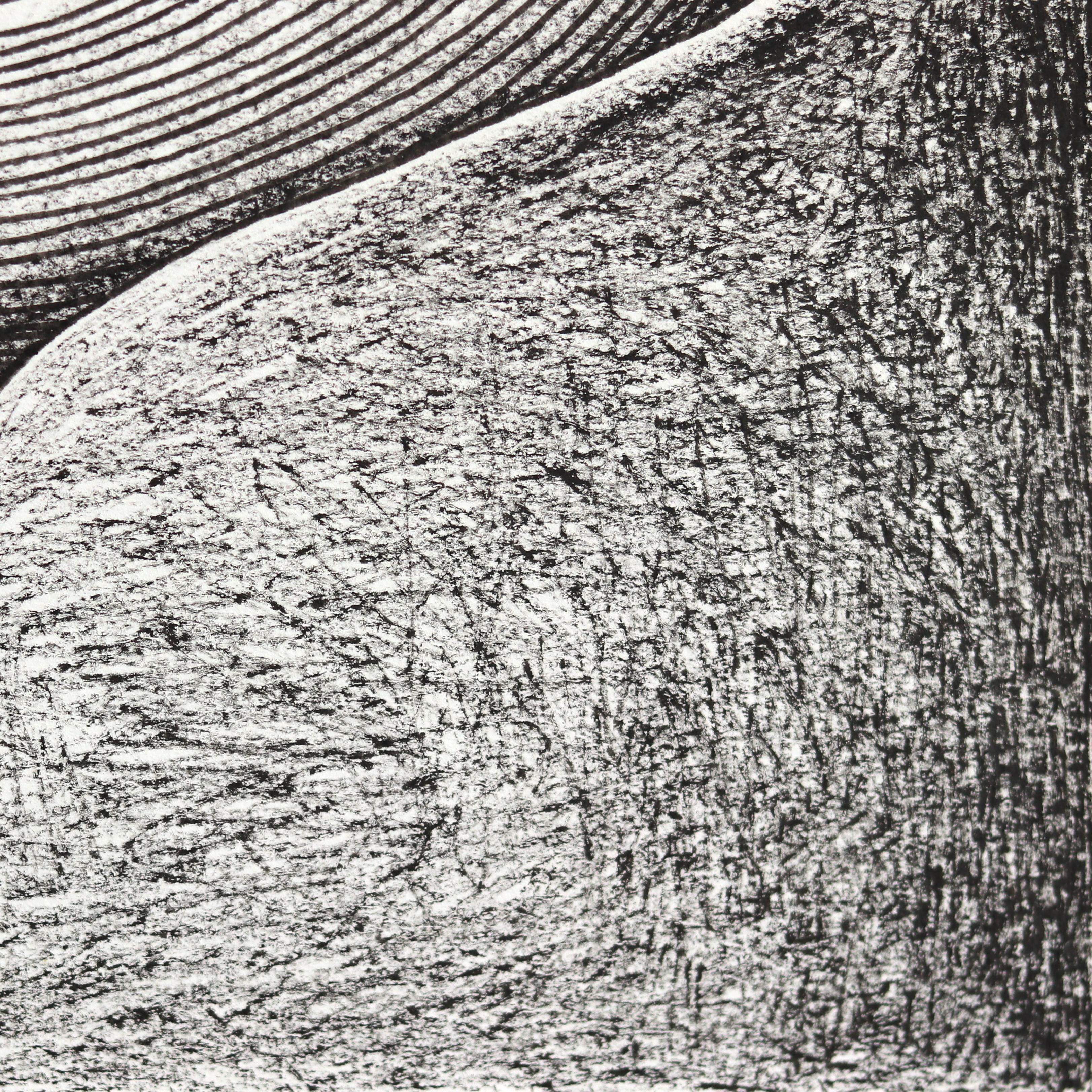 The All Knowing Eye - Abstract Black and White Figurative Illustrative Artwork For Sale 2