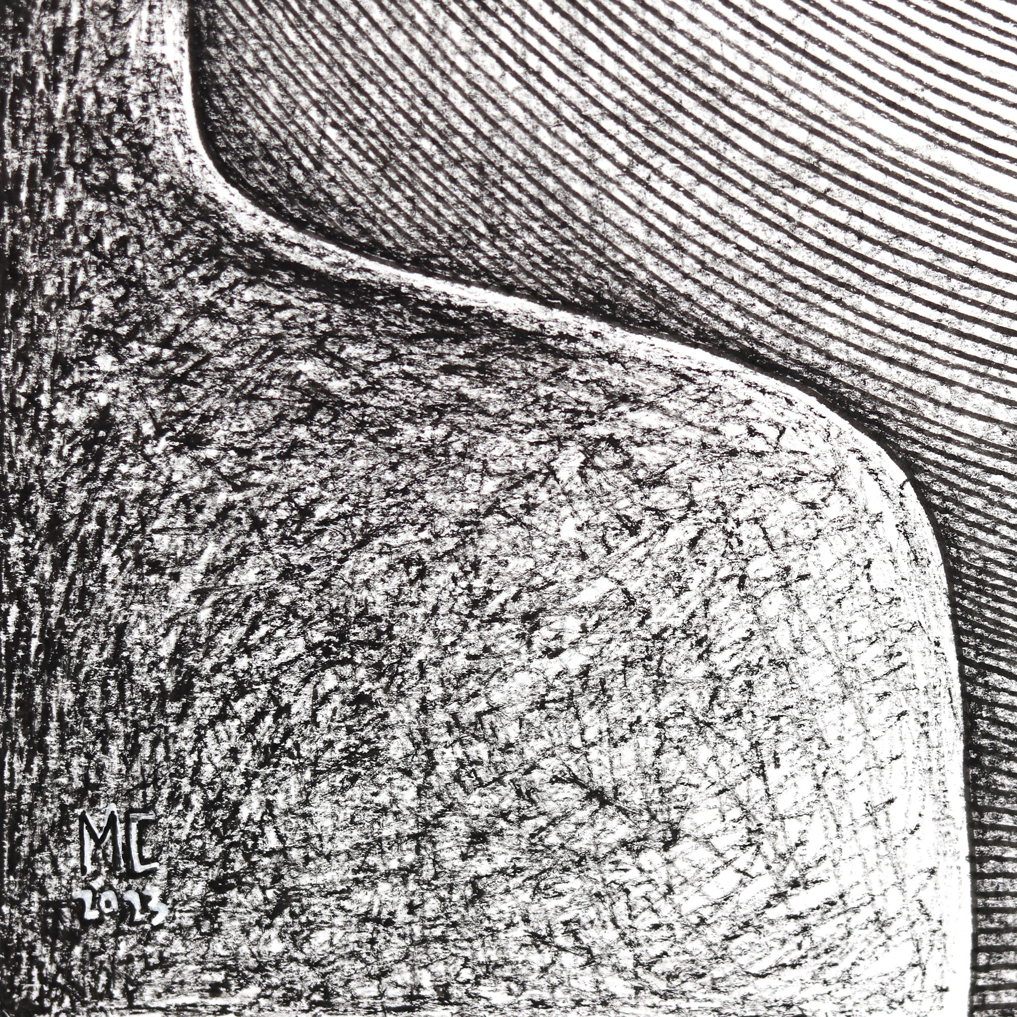 The All Knowing Eye - Abstract Black and White Figurative Illustrative Artwork For Sale 3