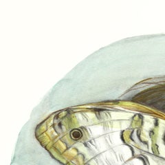 Ein Moment, in dem das Staunen die Oberhand gewinnt – figuratives surrealistisches Aquarell
