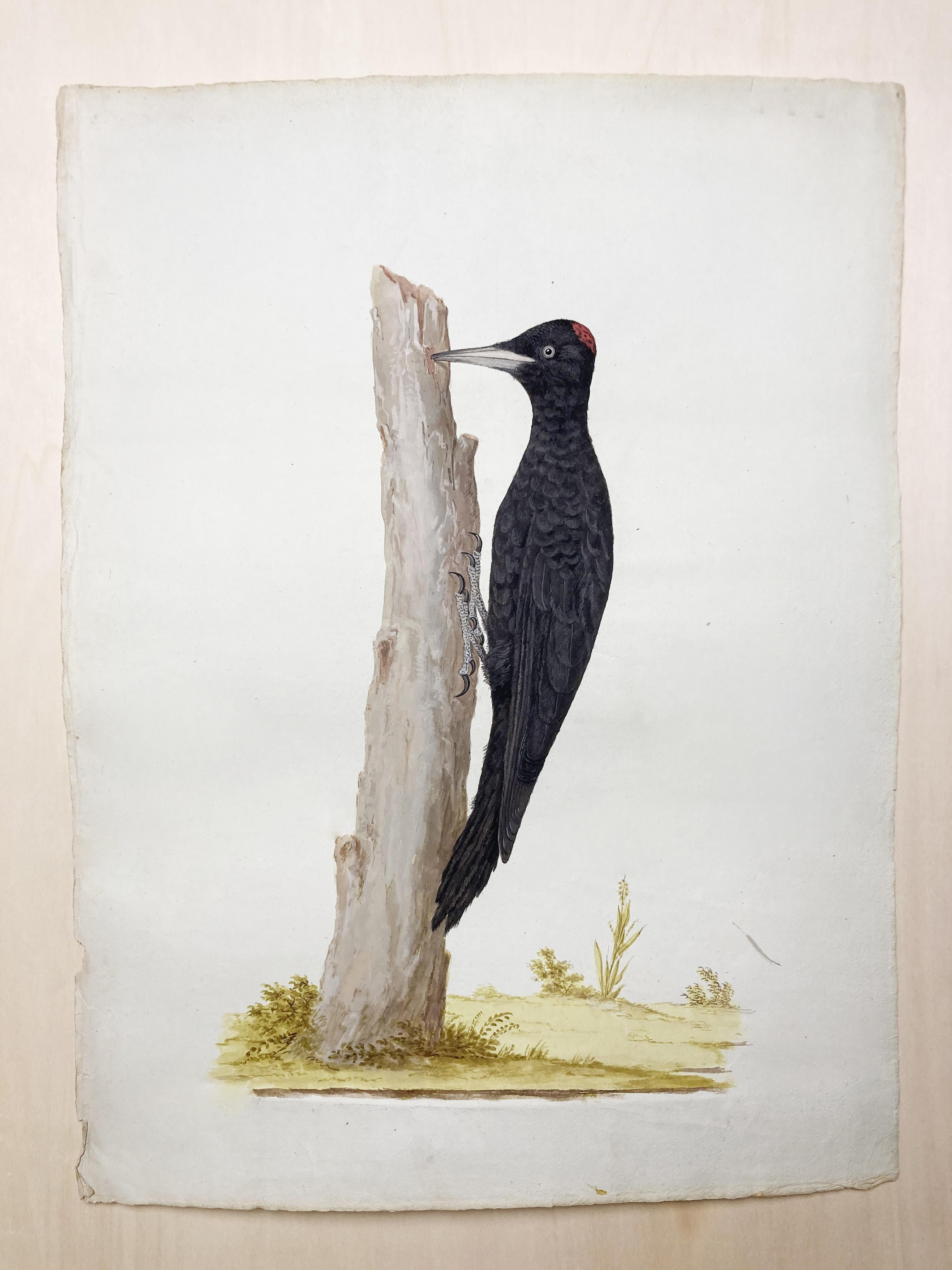 Peter Paillou Animal Art – Vogelgemälde aus schwarzem und rotem Holzgeflecht des erleuchteten Malers