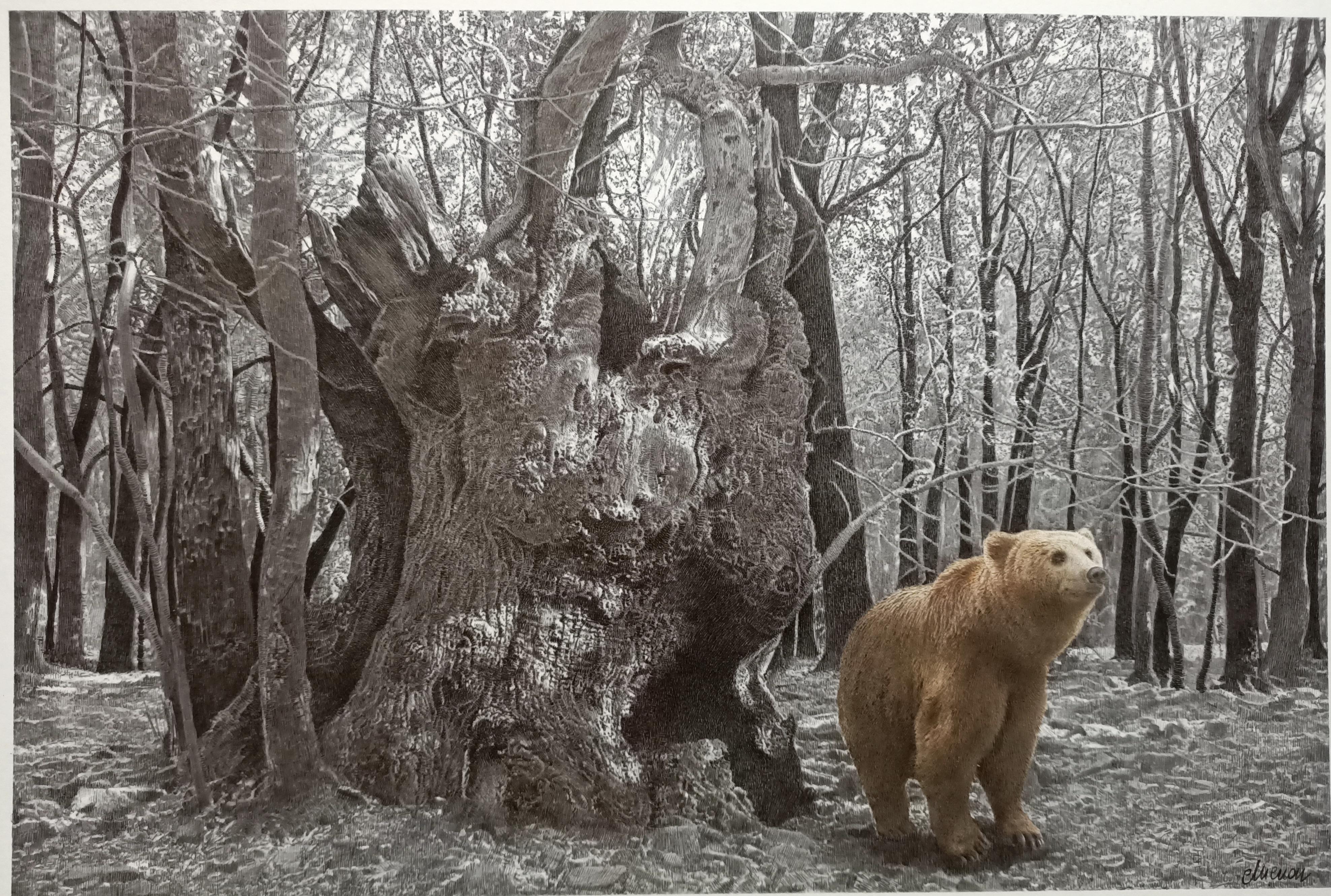 Sara Menon Figurative Art - Black and white pencil drawing and watercolour of a brown bear in the woods