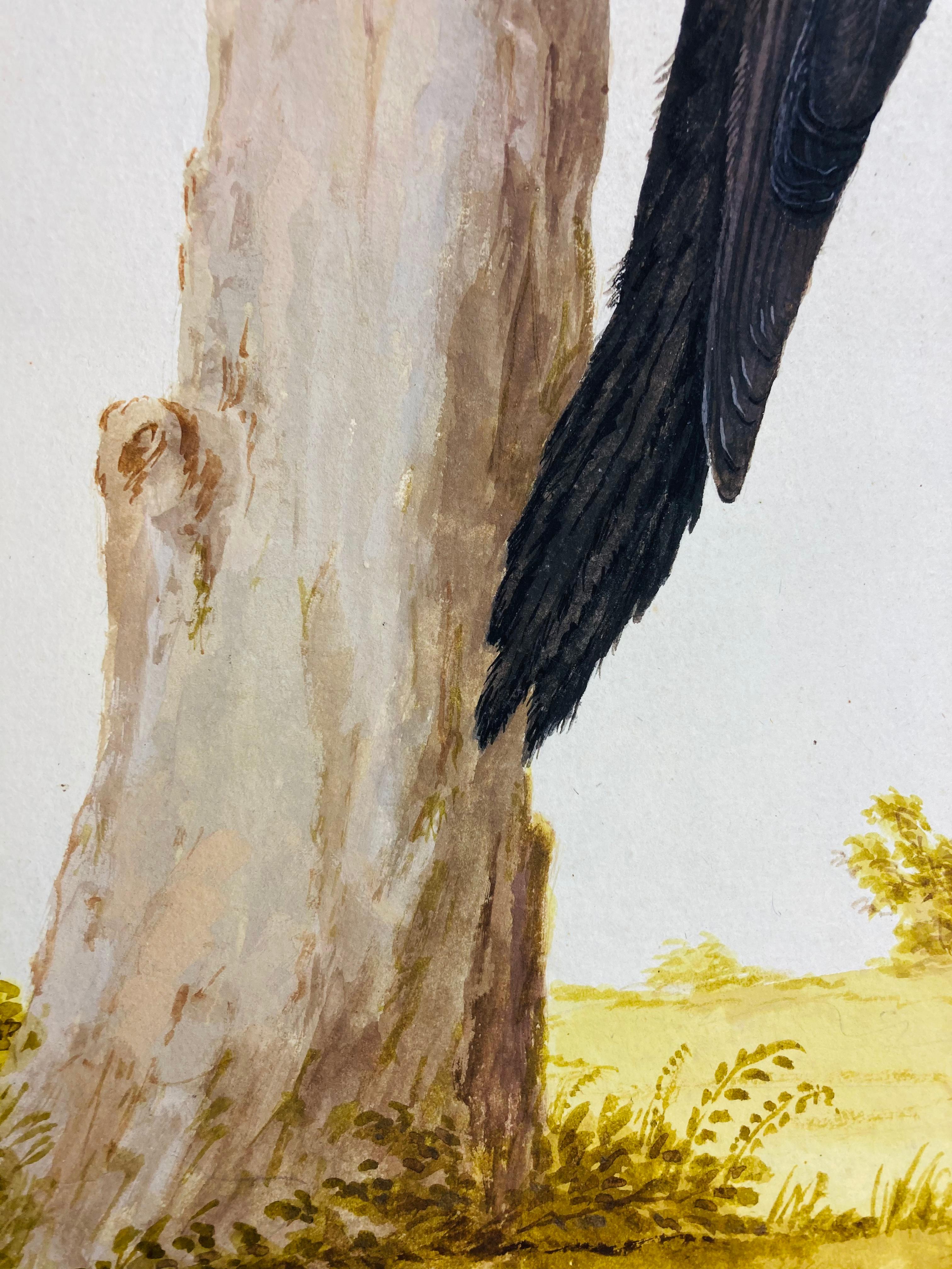 Vogelgemälde aus schwarzem und rotem Holzgeflecht des erleuchteten Malers (Realismus), Art, von Peter Paillou