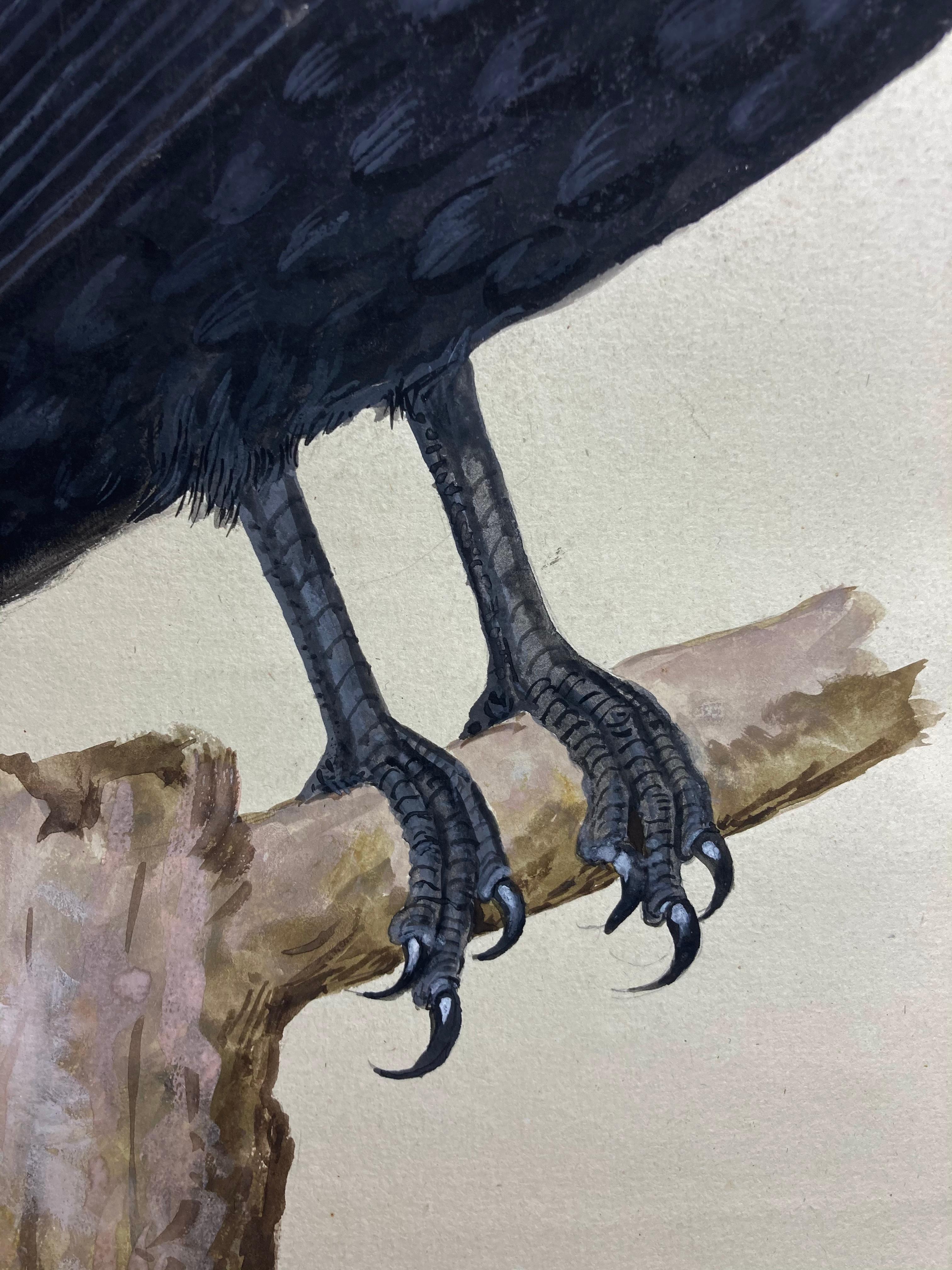 Dessin animalier d'un Crow assis en noir par un peintre britannique éclairé. - Réalisme Art par Peter Paillou