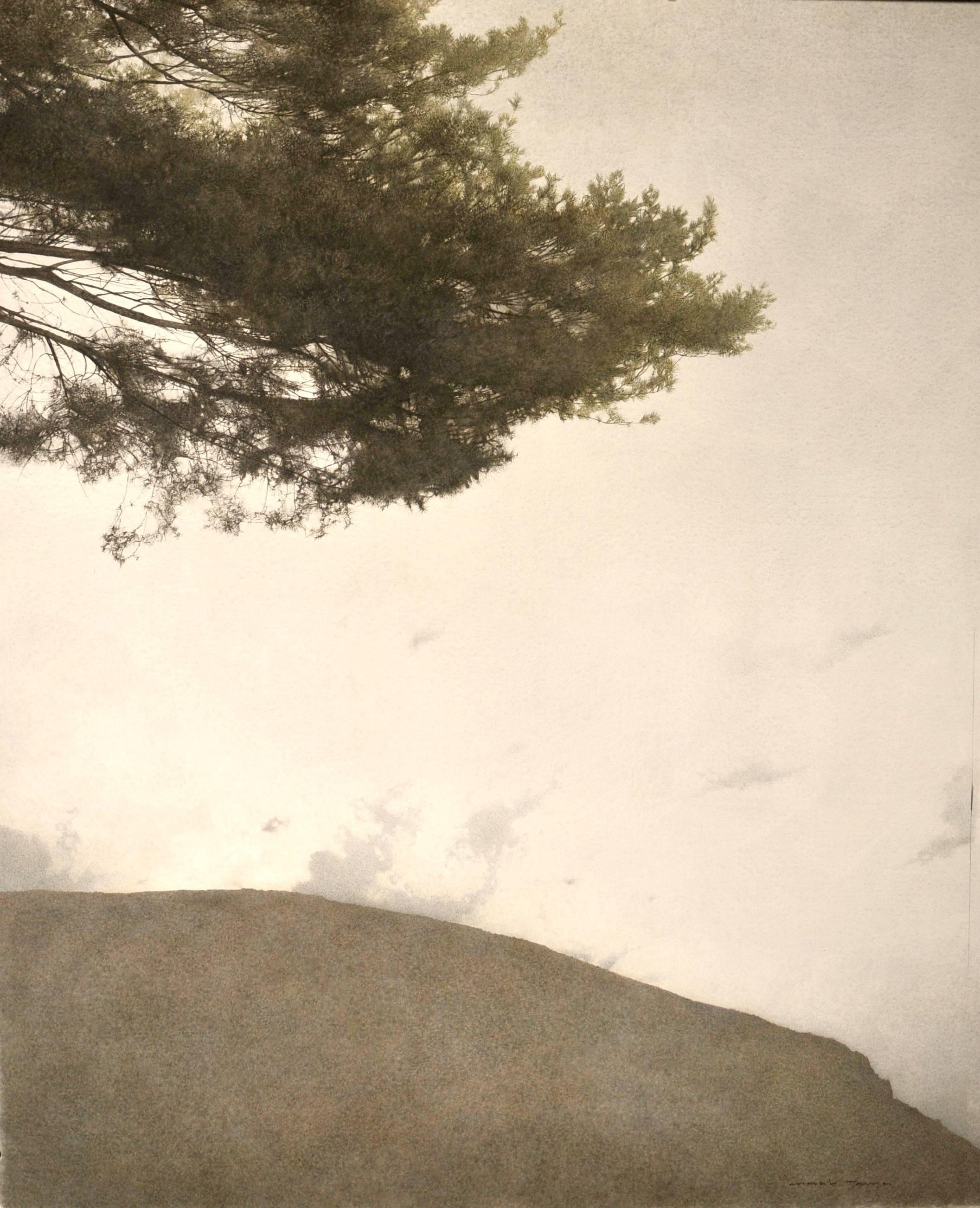 Landscape Art Marzio Tamer - Peinture de paysage toscan d
arbres toscanes avec ocra et sauge par un maître peintre italien