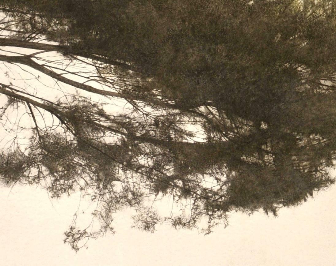 Peinture de paysage toscan d'arbres toscanes avec ocra et sauge par un maître peintre italien - Réalisme Art par Marzio Tamer