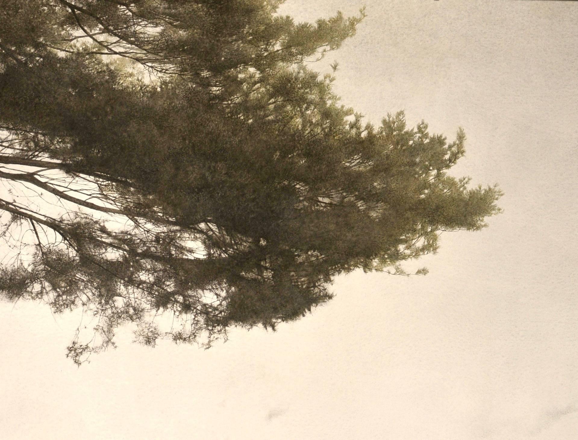 Peinture de paysage toscan d'arbres toscanes avec ocra et sauge par un maître peintre italien - Beige Landscape Art par Marzio Tamer