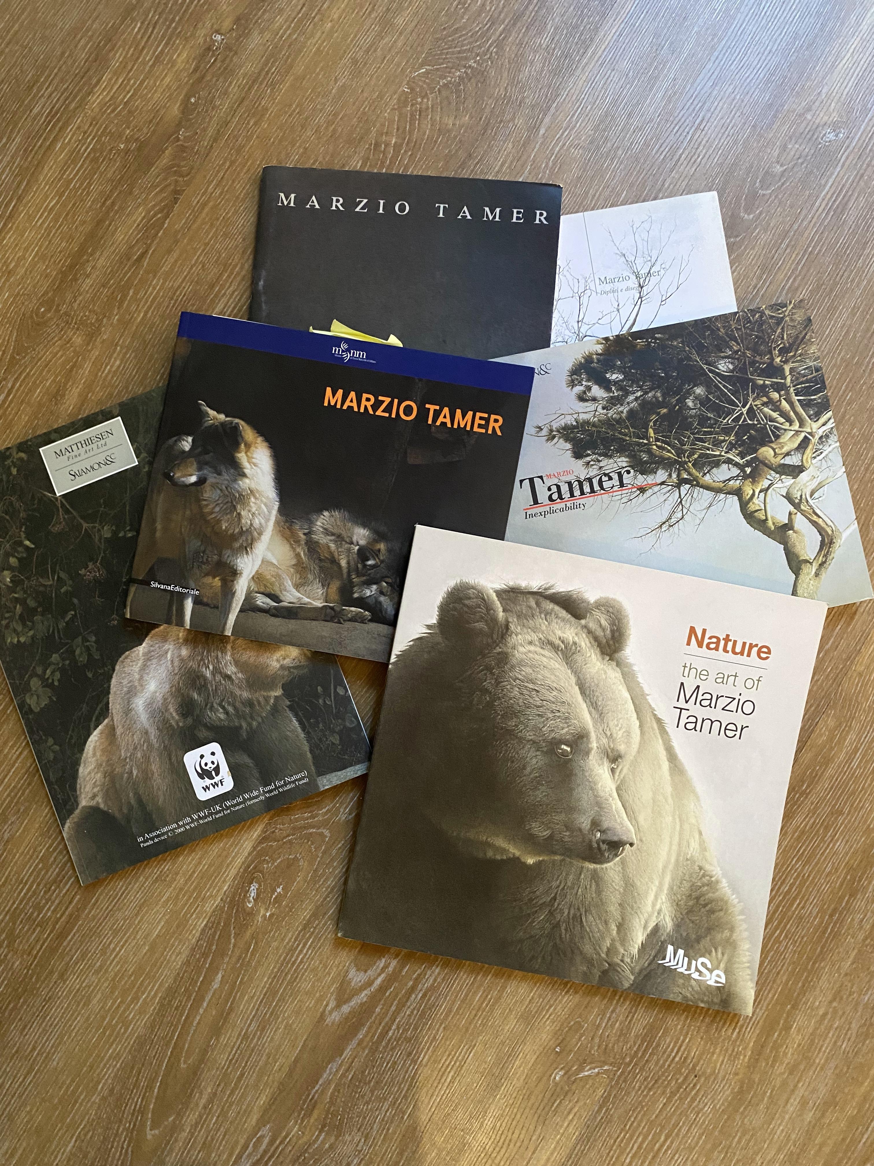 Peinture de paysage toscan d'arbres toscanes avec ocra et sauge par un maître peintre italien 1