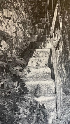 Bleistiftzeichnung einer Treppe auf einem Waldweg von geschickter italienischer Künstlerin
