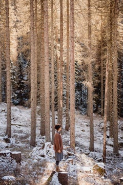 Dive into the wood: Watercolor by Silvia De Bastiani, 2026