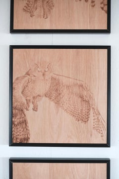 Ascent of Wisdom: An owl etched with fire on eucalyptus wood