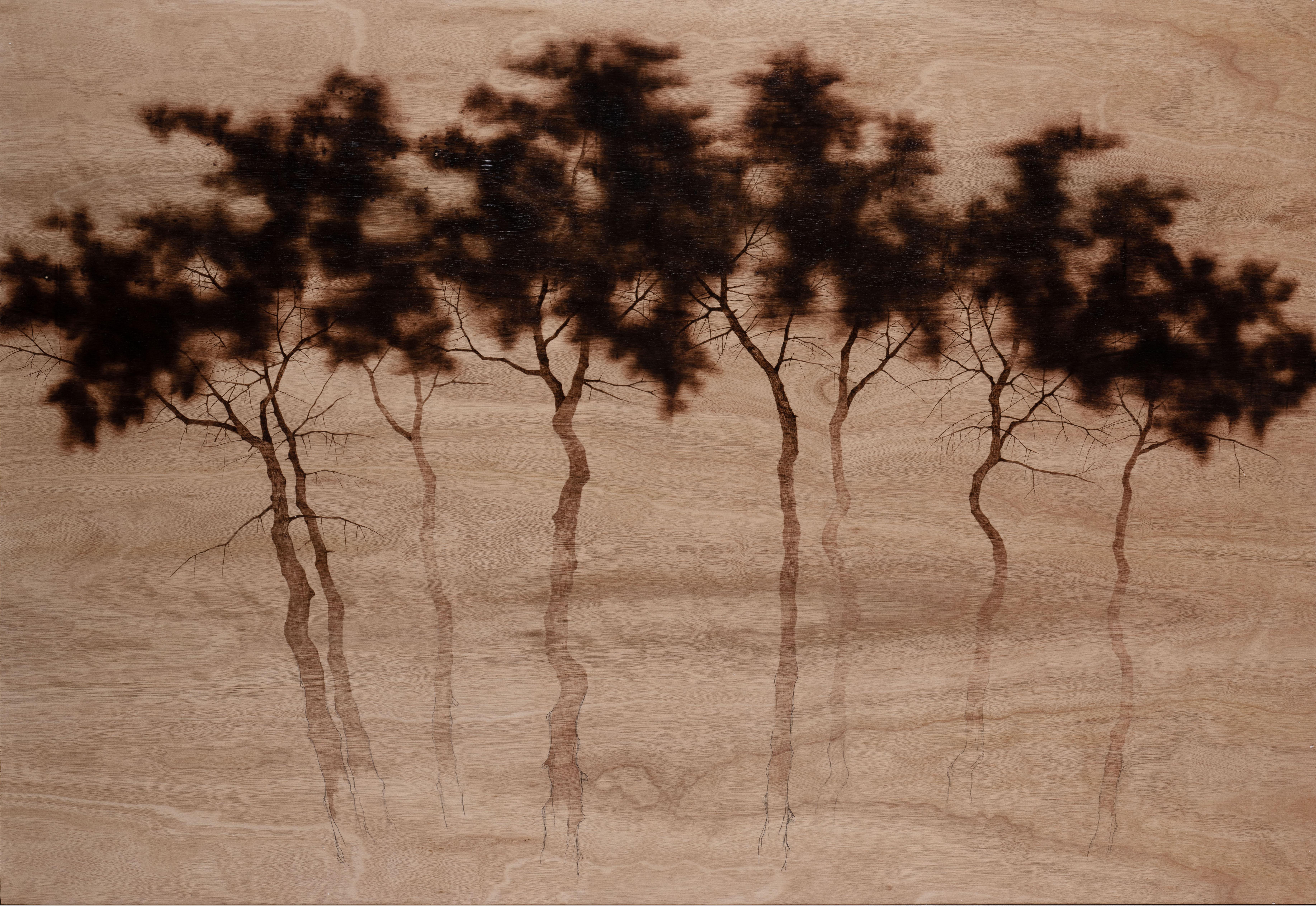 "Contemporary Trees" artwork. Pyrography on an eucalyptus panel. Modern and Classic - Art by Nick Wilems