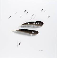 Sky Pilot - bird feather back and white 3D wall sculpture composition on paper 