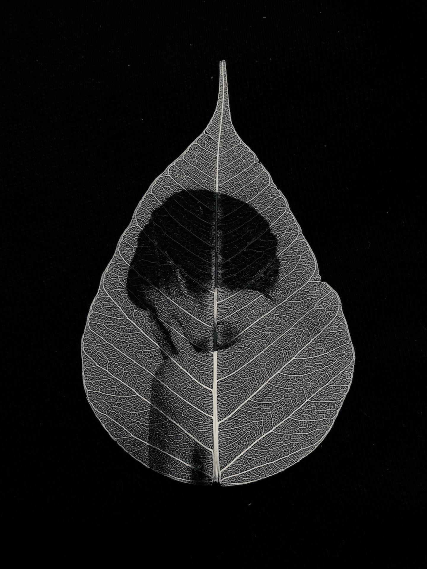 Samantha Bias Portrait Photograph - Alone -black and white transferred photograph onto preserved skeleton leaf
