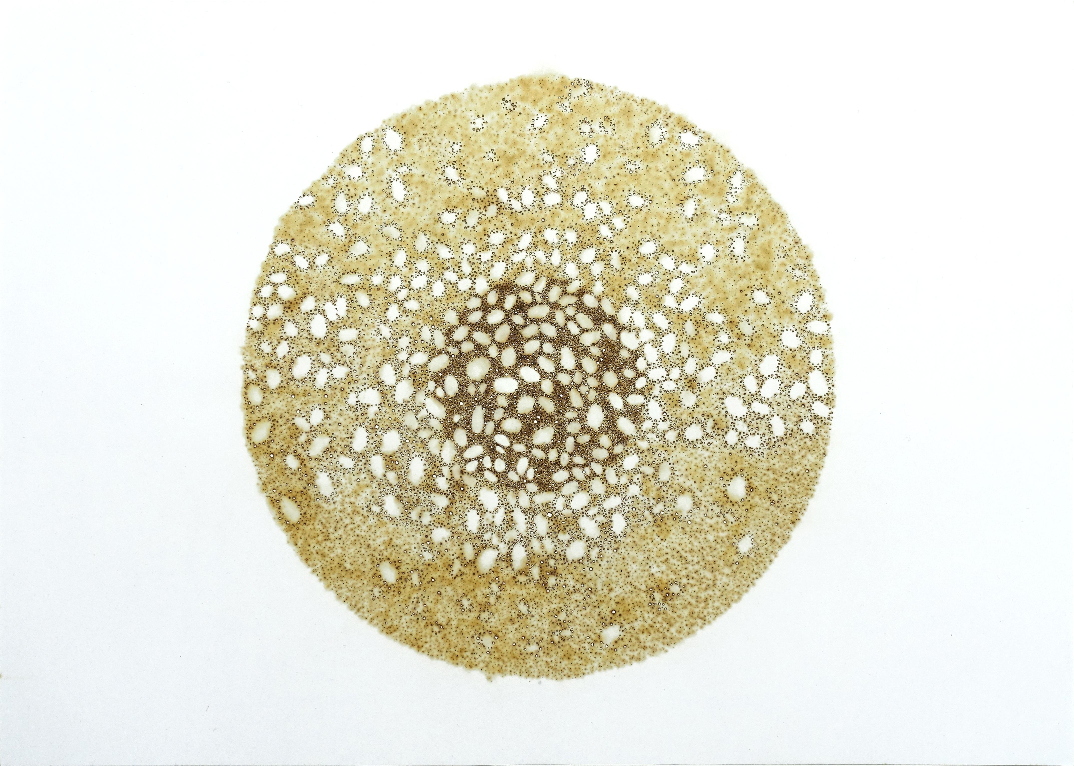 Nathalie Palomino Abstract Drawing - CDV 16 - earth tone, abstract geometric circle with burn holes on paper