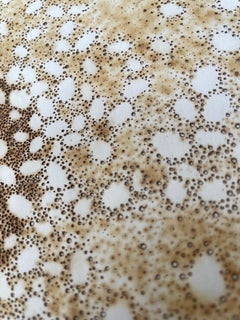 CDV 16 - earth tone, abstract geometric circle with burn holes on paper