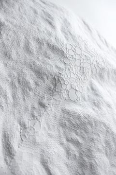 EC 16 - textural abstract circle shape nature inspired white sculpted paper