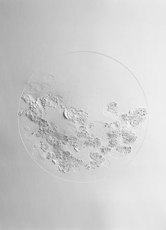 Meiose 2 - textural abstract circle shape nature inspired white sculpted paper