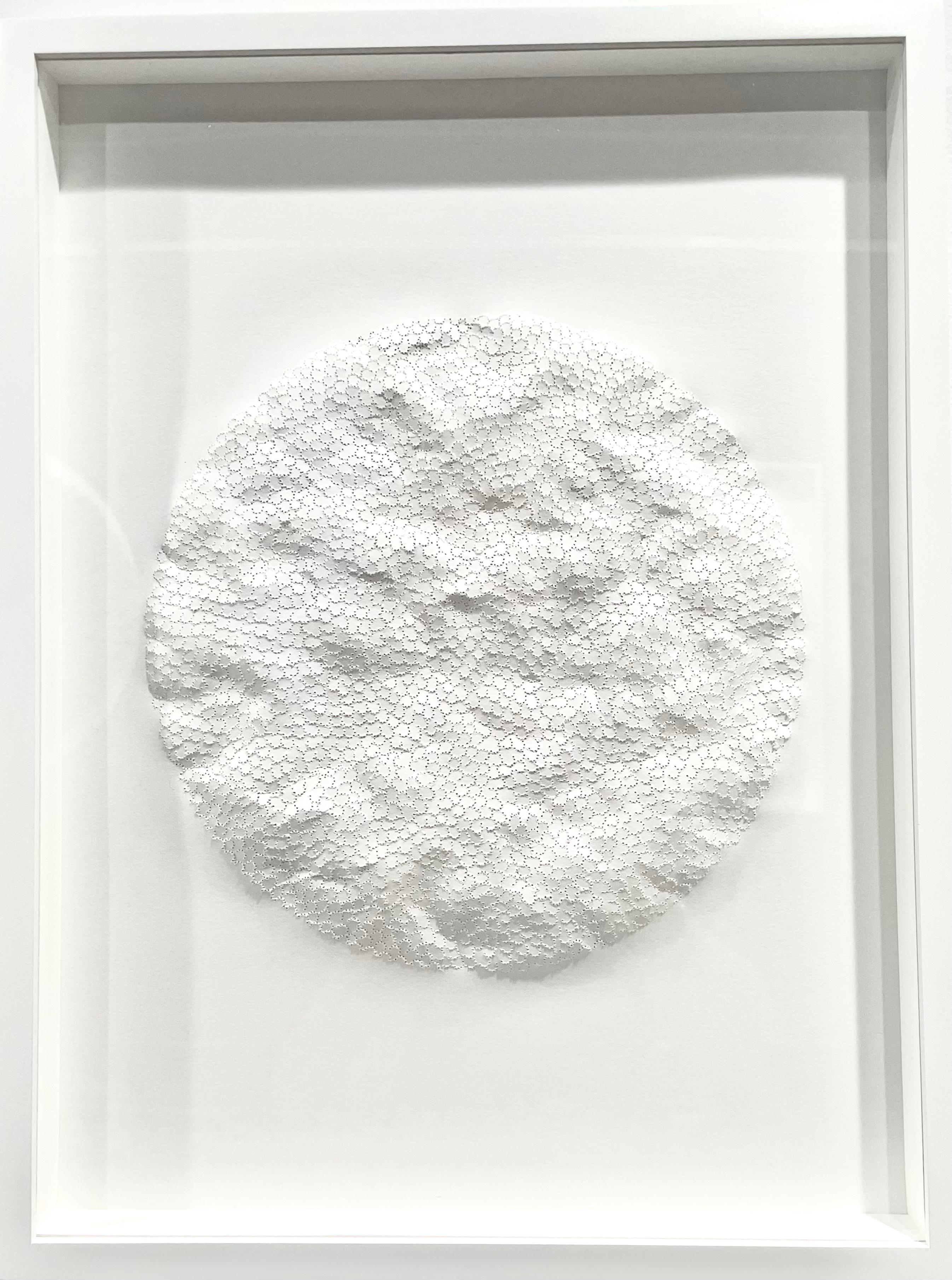 textural fiber shadow box