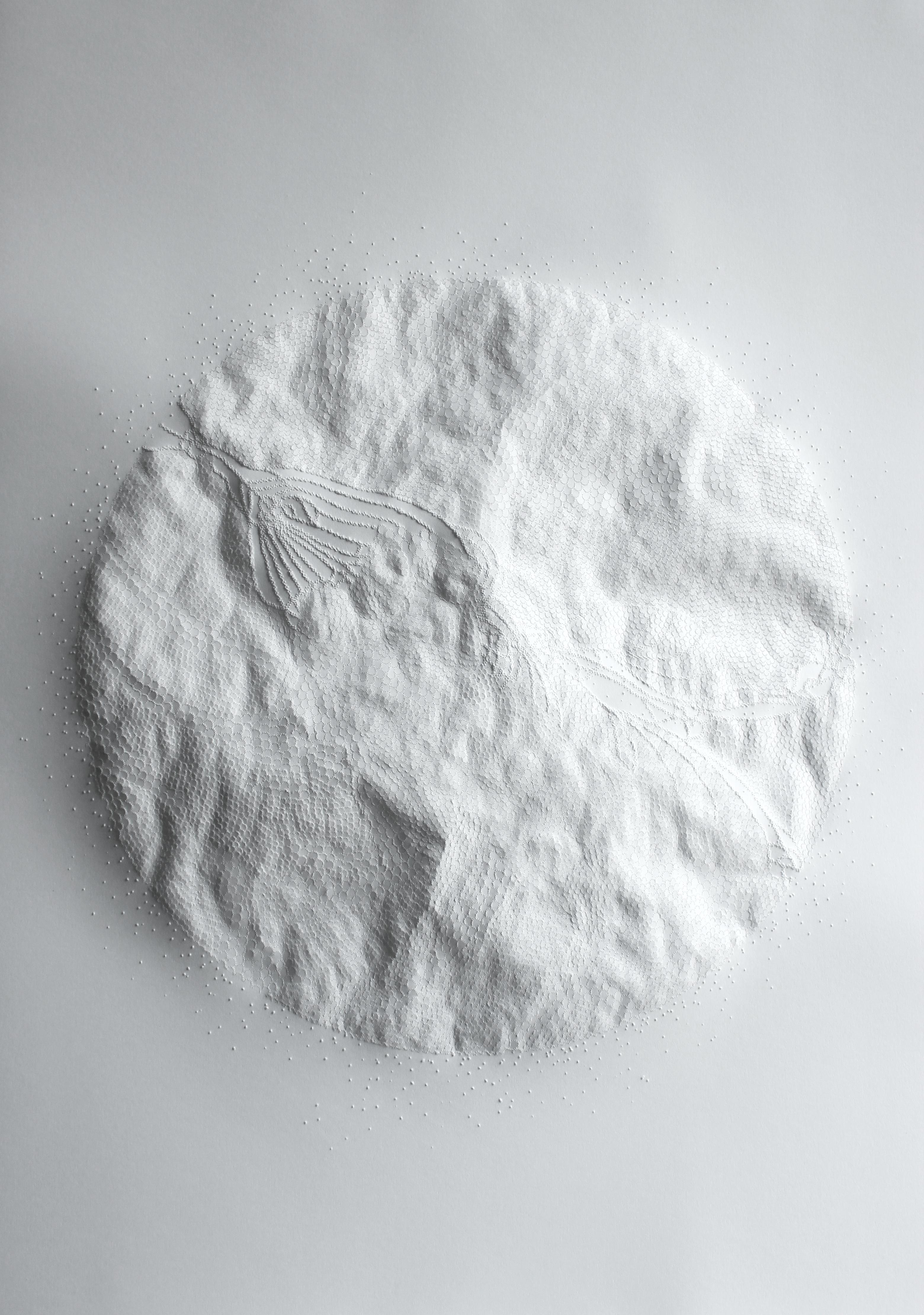 Anne-Charlotte Saliba Abstract Drawing – EC 14 - texturiertes, abstraktes, kreisförmiges, von der Natur inspiriertes, weißes Büttenpapier