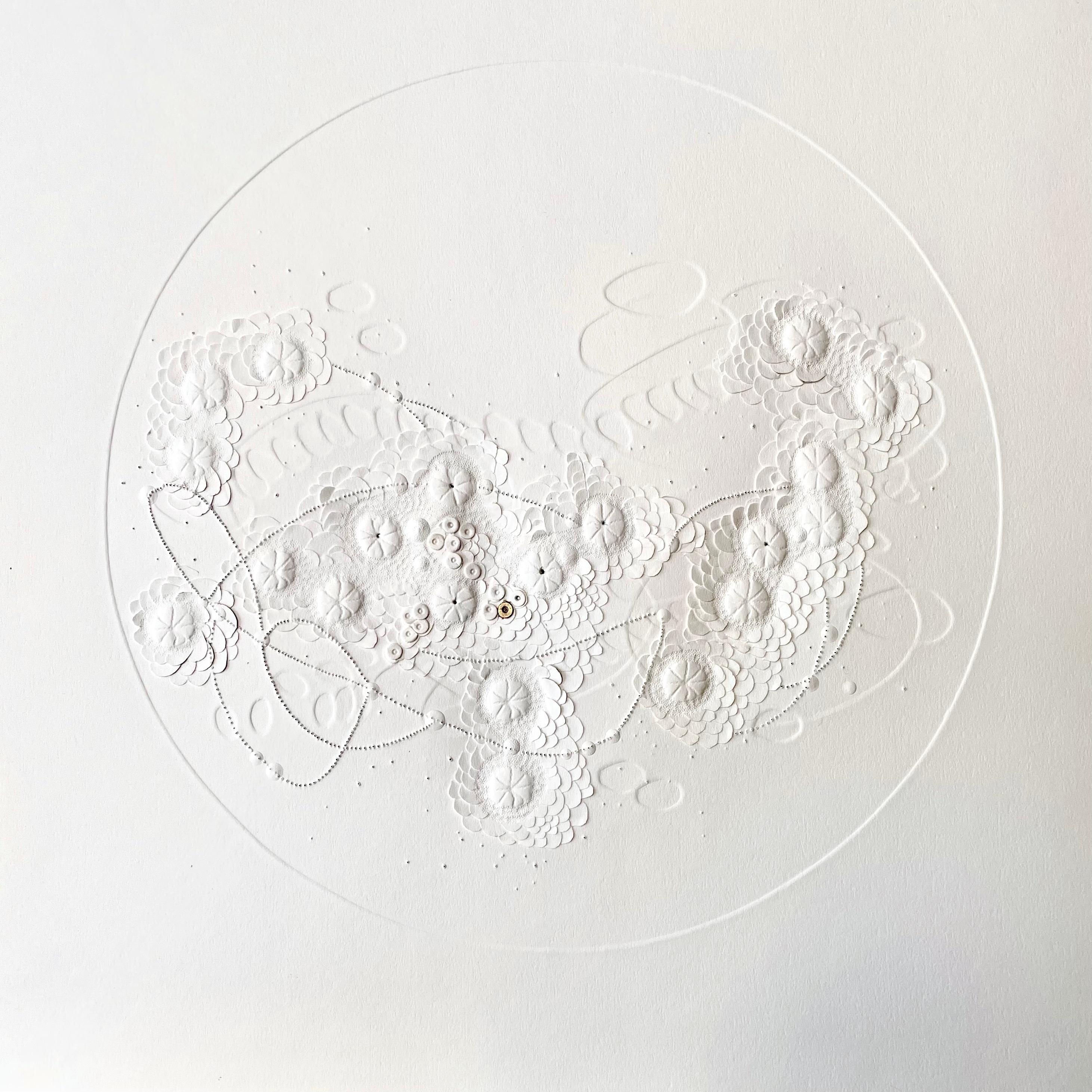 Meiose- white and gold textural floral abstract circle on sculpted paper