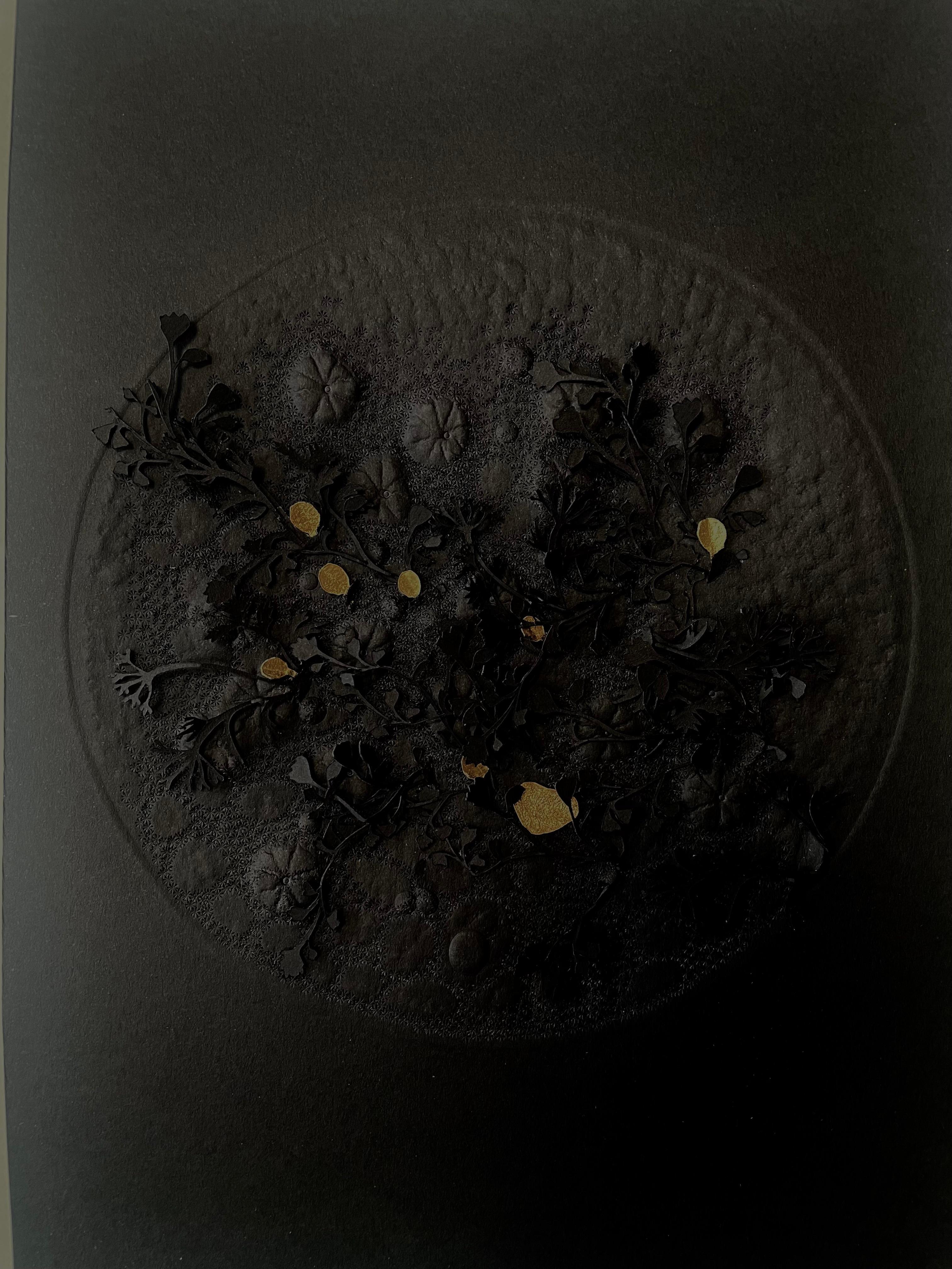 Anne-Charlotte Saliba Abstract Drawing - Explosion Végétale- black and gold 3D floral abstract circle on sculpted paper