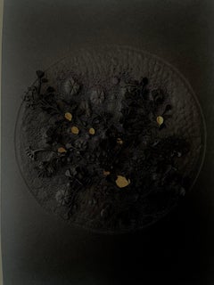 Explosion Végétale- black and gold 3D floral abstract circle on sculpted paper