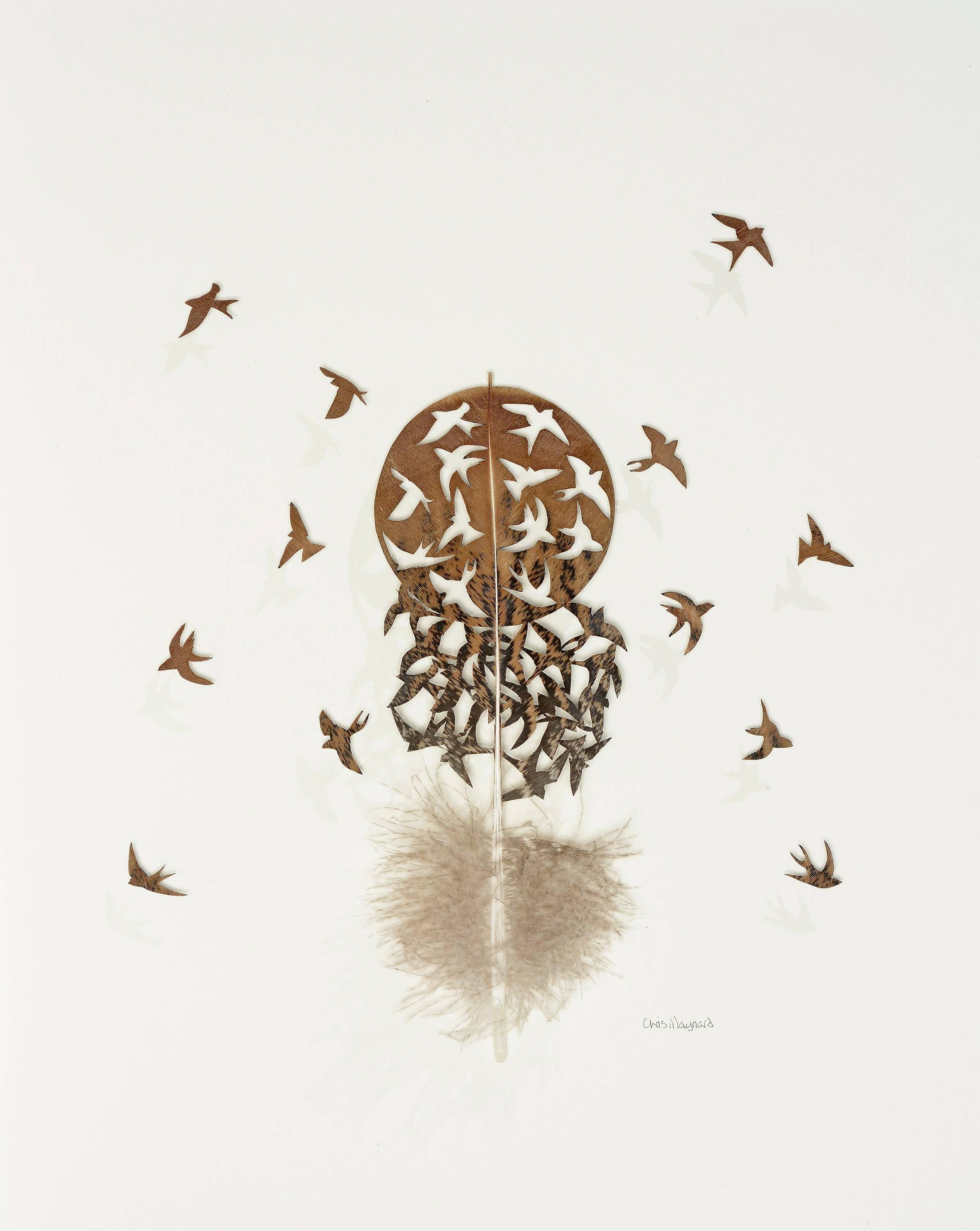 Chris Maynard Animal Art - Diaspora - brown bird feather 3D wall sculpture composition on paper 