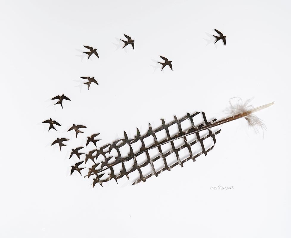 Chris Maynard Animal Art - Chain Link 8 - turkey feather back and white composition on paper 