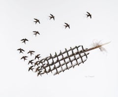 Chain Link 8 - turkey feather back and white composition on paper 