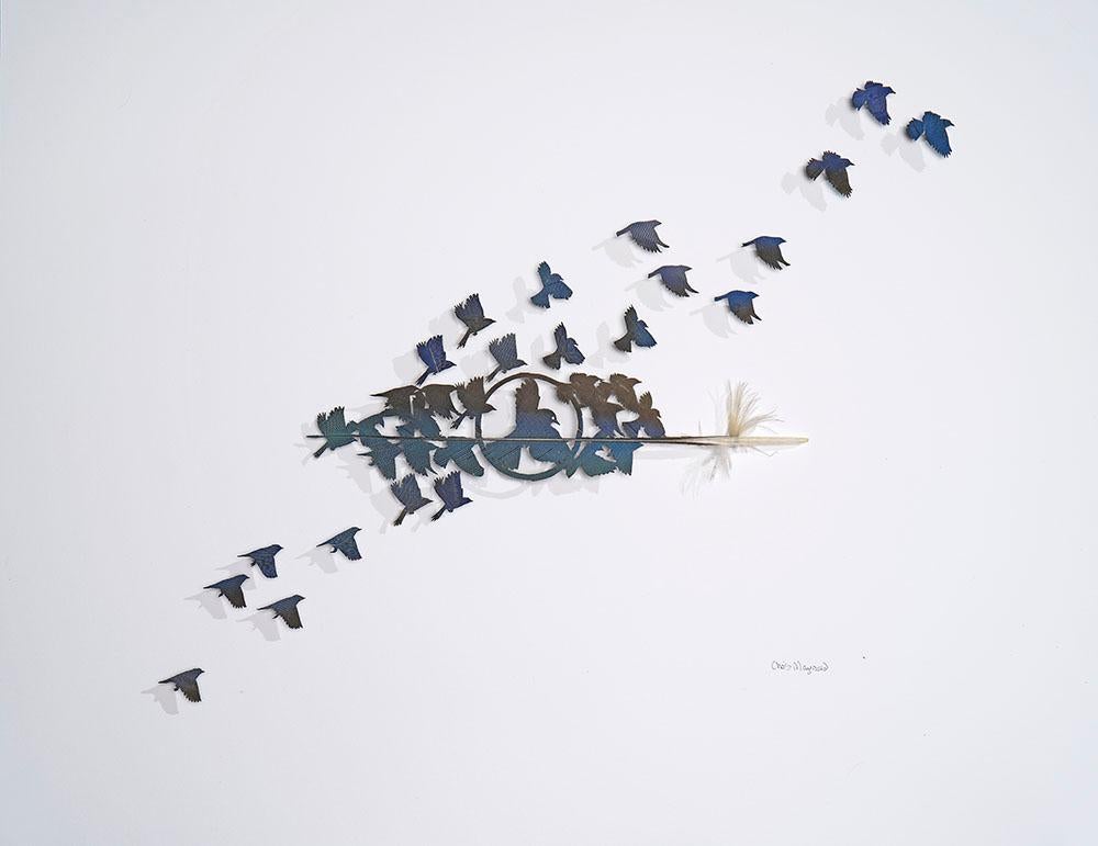 Chris Maynard Animal Art - Blue Bird- macaw wing feather back and blue composition on paper 