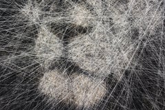 Black and White Lion- Animal 3D unique sculptural piece with thread