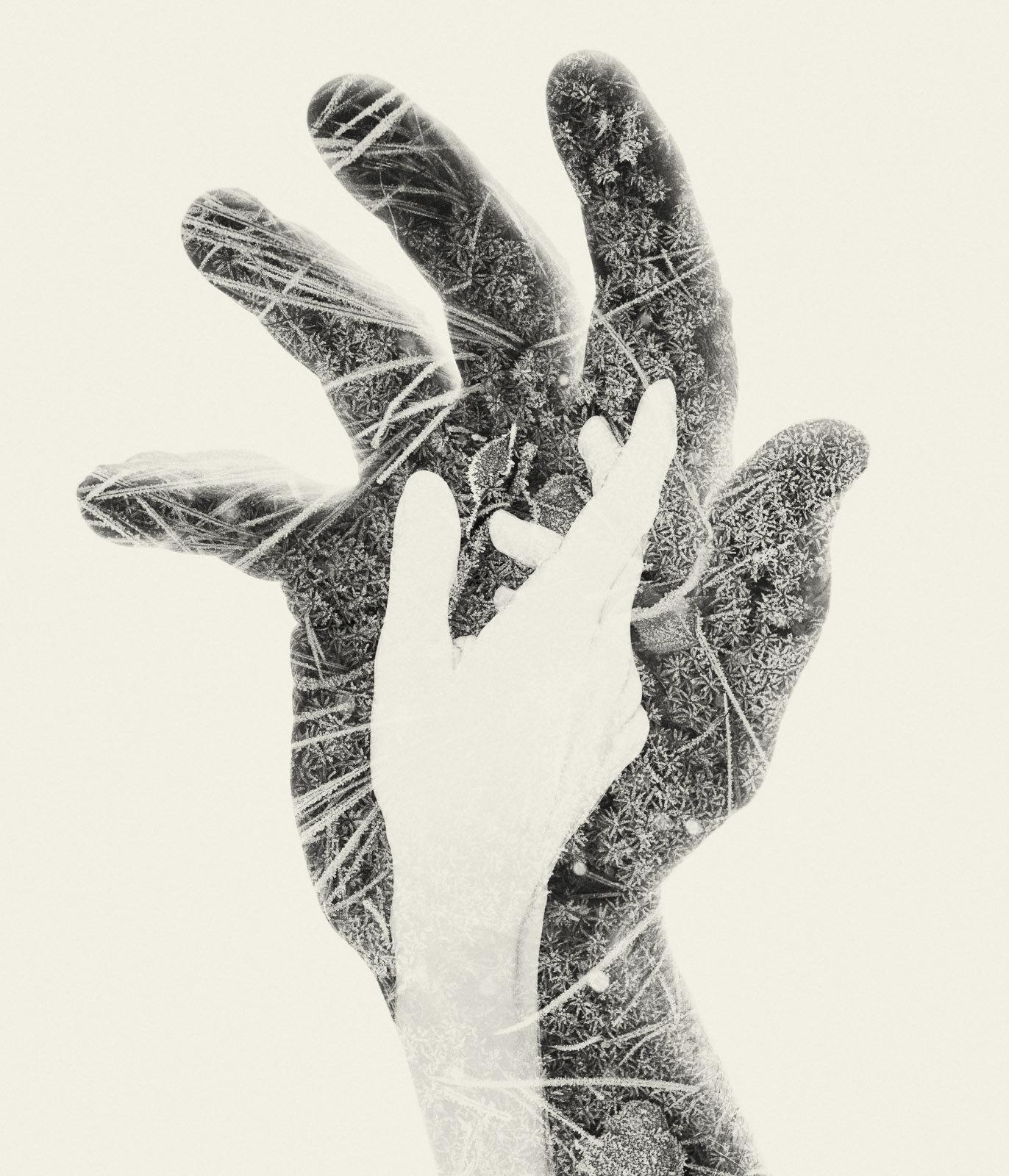 Christoffer Relander Landscape Photograph - First Frost - black and white hands and nature multi exposure photograph