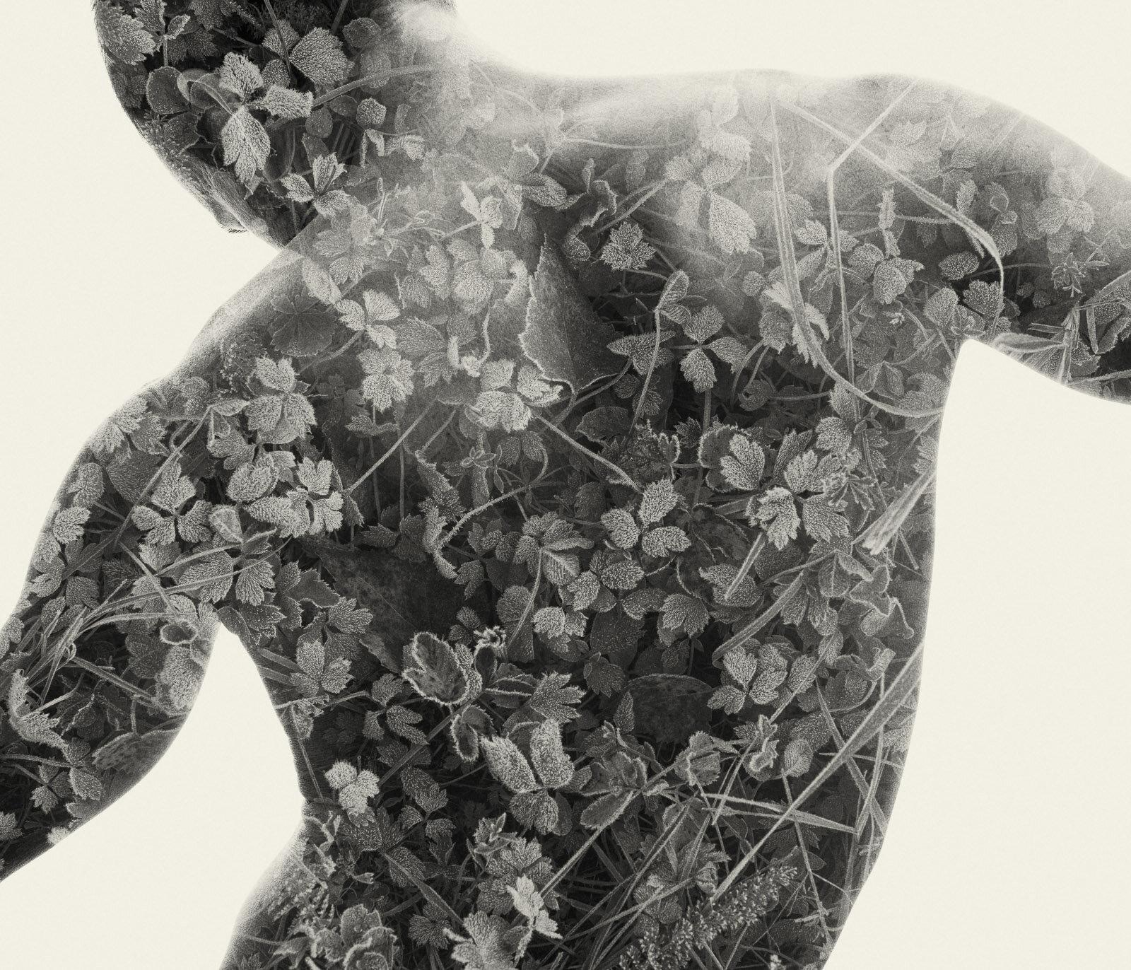 Christoffer Relander Landscape Photograph - Frosted Back - black and white portrait and nature multi exposure photograph