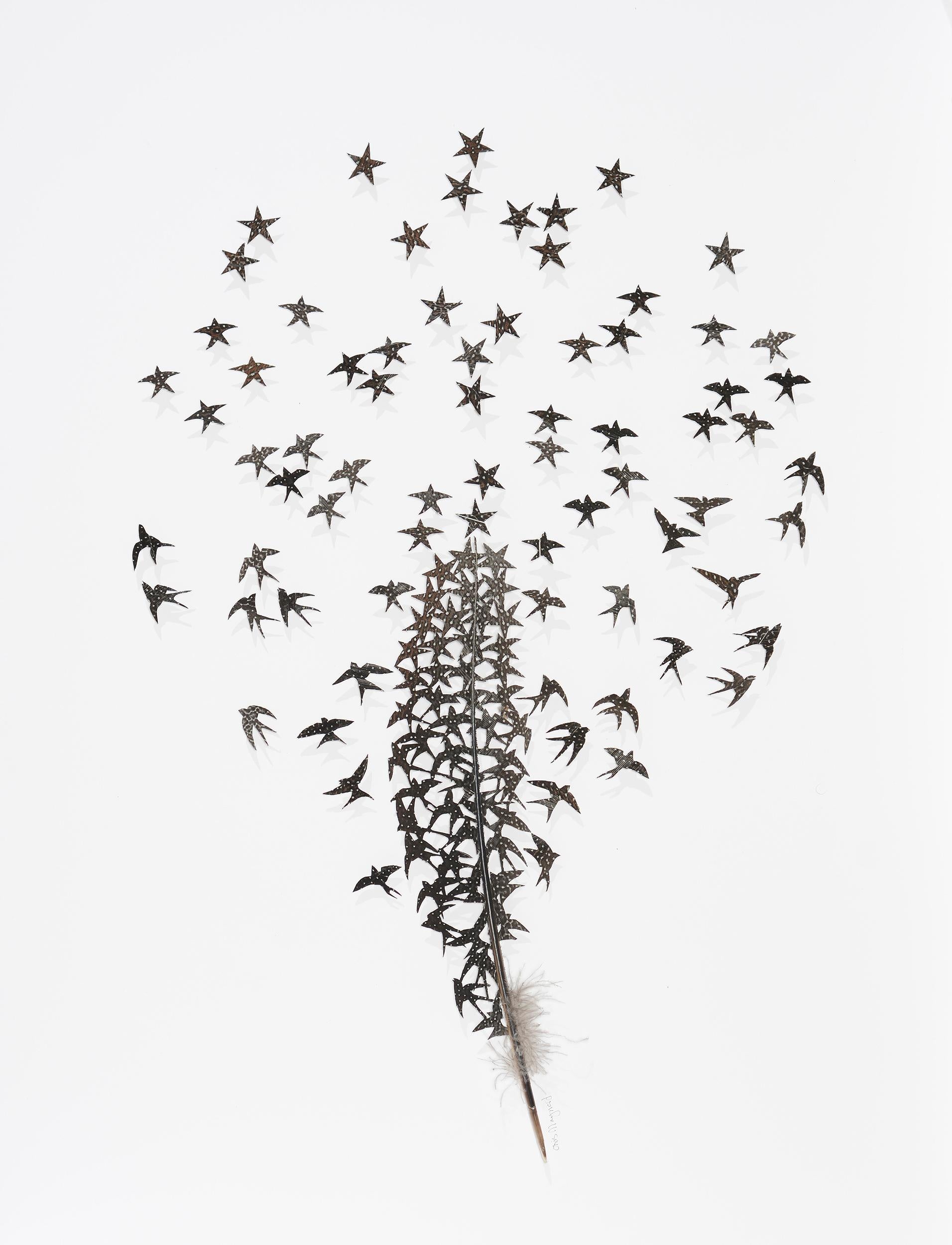 Chris Maynard Animal Art - How stars are made - black bird feather 3D whimsical poetic collage on paper 