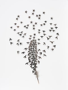 How stars are made - black bird feather 3D whimsical poetic collage on paper 